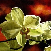 Orchid_in_yellow_2008_card