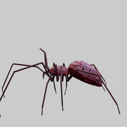 Welded_spider_-_araign_e_soud_e_-_spin_gelast_-___200_cm_card