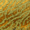 Green_sand_photo_thumb