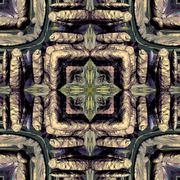 2208_card