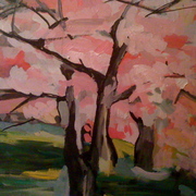 Cherry_blossom_111_card