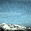 Img_4323_thumb