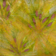 Hpim0686_card