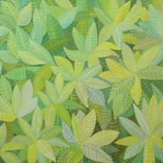 Grasshopper_s_adventure_card