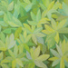 Grasshopper_s_adventure_square