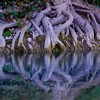 Dsc_0037_thumb