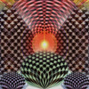 Fir-cone-landscape_thumb