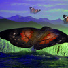 Queen-butterfly_thumb