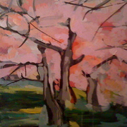Cherry_blossom4_card