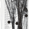 Las_tres_lunas_y_el_manglar__1__thumb