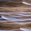 Dsc03061_thumb