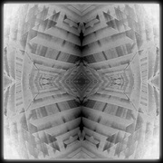 Cube1_card
