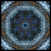Cycle_card