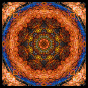 Cycle1_card