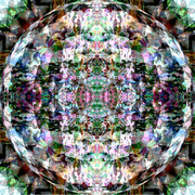Leaf1111_copy_card
