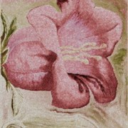 Campanella_con_bocciolo_50_70_card