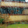 Rain_sunday11_thumb