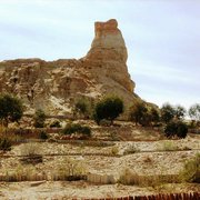 Img_0983_card