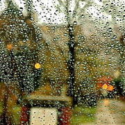 Rain_sunday15_card