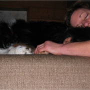 Dogsitting_card