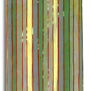 Stripe__card