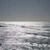 Dsc00418_thumb