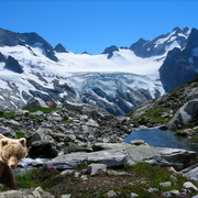 1068-snow_mountain_stream_card