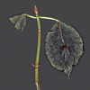 Lab-57_thumb