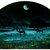 Dromedary_moon__arch__11w72_rgb_tiny_square