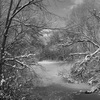 Frozen_rouge_river_thumb