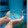 Tenderness_thumb