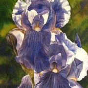 Into_the_blue_s_card