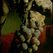 Mani_uva_card
