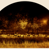 In_the_gloaming__arch_dense__11w72_rgb_thumb