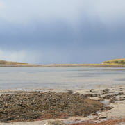 Img_0017_card