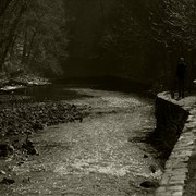 Pa_stream_card