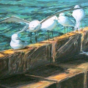 Gaviotas_en_el_espig_n___leo-lienzo_38x61cm_1024x627p_card