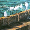 Gaviotas_en_el_espig_n___leo-lienzo_38x61cm_1024x627p_thumb