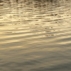 Equilibrium_1_thumb