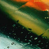 Equinox_thumb