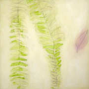 Fern-_card