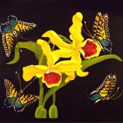 Image2_card