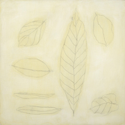 Leaves-1_card