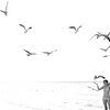 Did_that_bird_do_copy_thumb