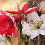 Amariliscommarca_card