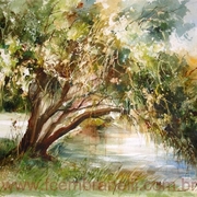Paisagemmarca_card