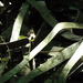Dscn0083_square