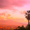 Napoli_rosa_thumb