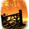 Gate_thumb