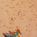 Honeymoon_square